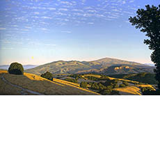 Landscape from Laguna Seca
