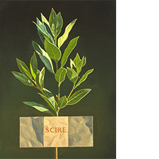 Scire, (To Know), 2010
o/c, 14 x 10 in.
